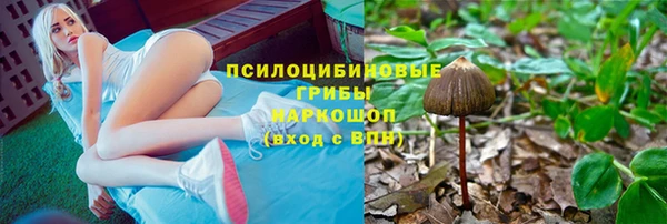 прущие крисы Заволжск